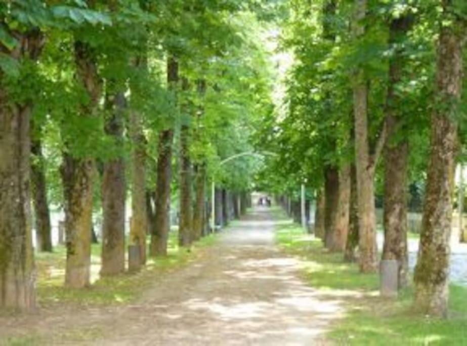 Apartament Al Cor De La Vall De Camprodon บิลายองกา เด แตร์ ภายนอก รูปภาพ